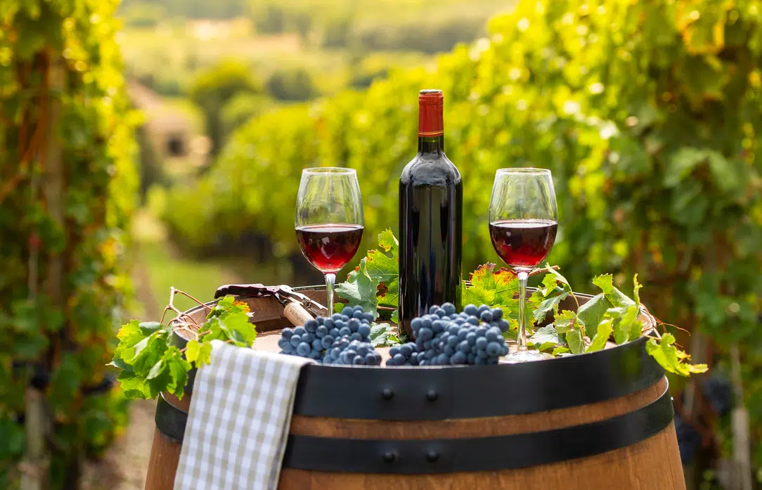 Beaujolais Beaujolais