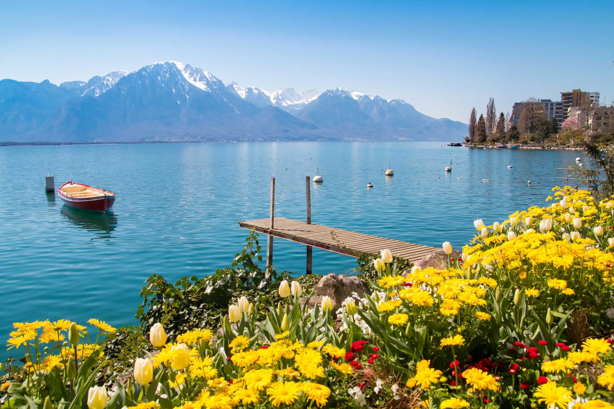 Leman Léman