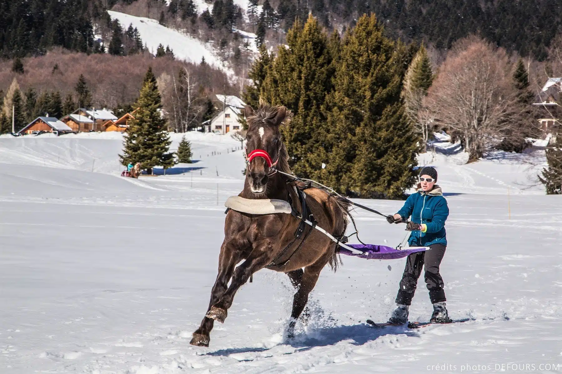 Ski Joering